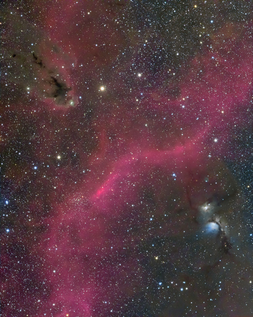 M78からLDN1622にかけての星雲 | 星空日誌 | 天体写真の世界 M78からLDN1622にかけての星雲 | 星空日誌 | 天体写真の世界