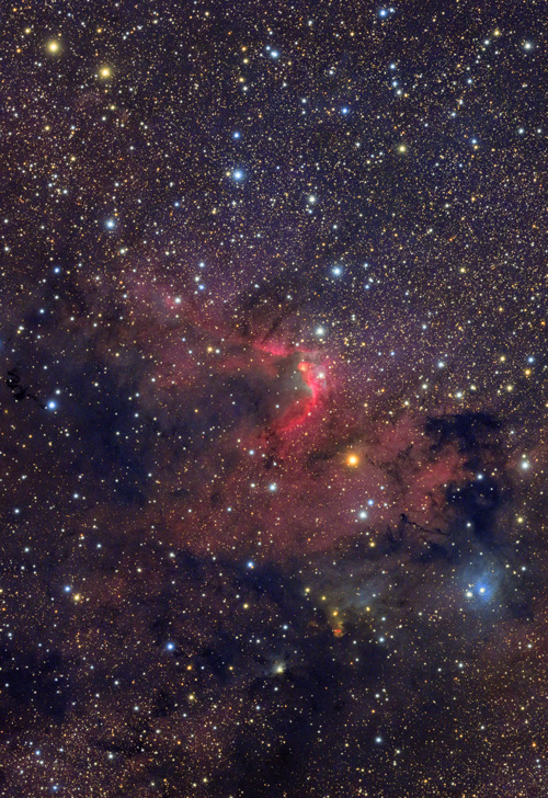 ケフェウス座の洞窟星雲 | 星空日誌 | 天体写真の世界