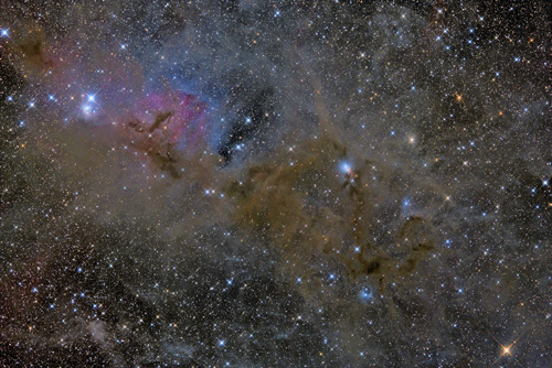 IC348とNGC1333付近 | 星空日誌 | 天体写真の世界