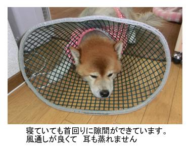 メッシュのエリザベスカラーの作り方 再度 犬のアレルギー用 Kuniの お気楽日記