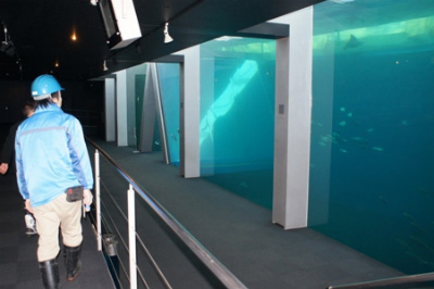 simg_308860_3319231_0.jpg