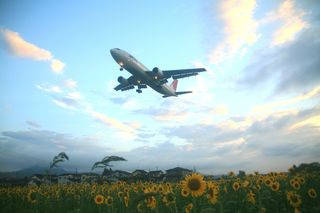 s110829105650_0.jpg