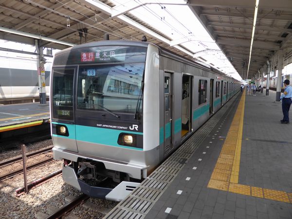 E233系2000番台常磐線 小田急線直通「急行」表示。 | くすのき E233系2000番台常磐線 小田急線直通「急行」表示。 | くすのき
