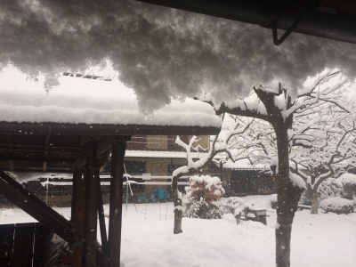 大雪再び