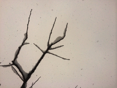 空から雪