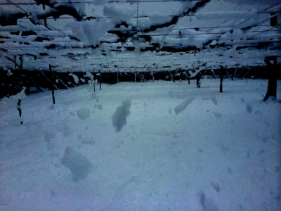 雪落とし