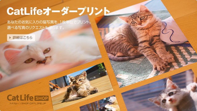 CatLifeオーダープリント
