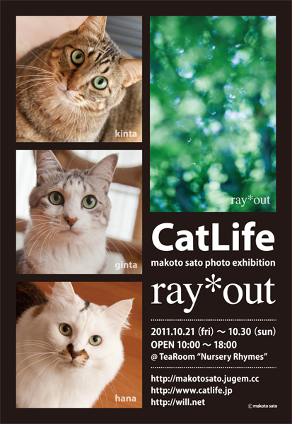 佐藤誠写真作品展「CatLife + ray*out