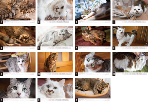 2014年版CatLifeカレンダー