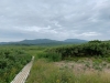 今日の雨竜沼220801