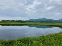 今日の雨竜沼220801