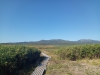 今日の雨竜沼22090902