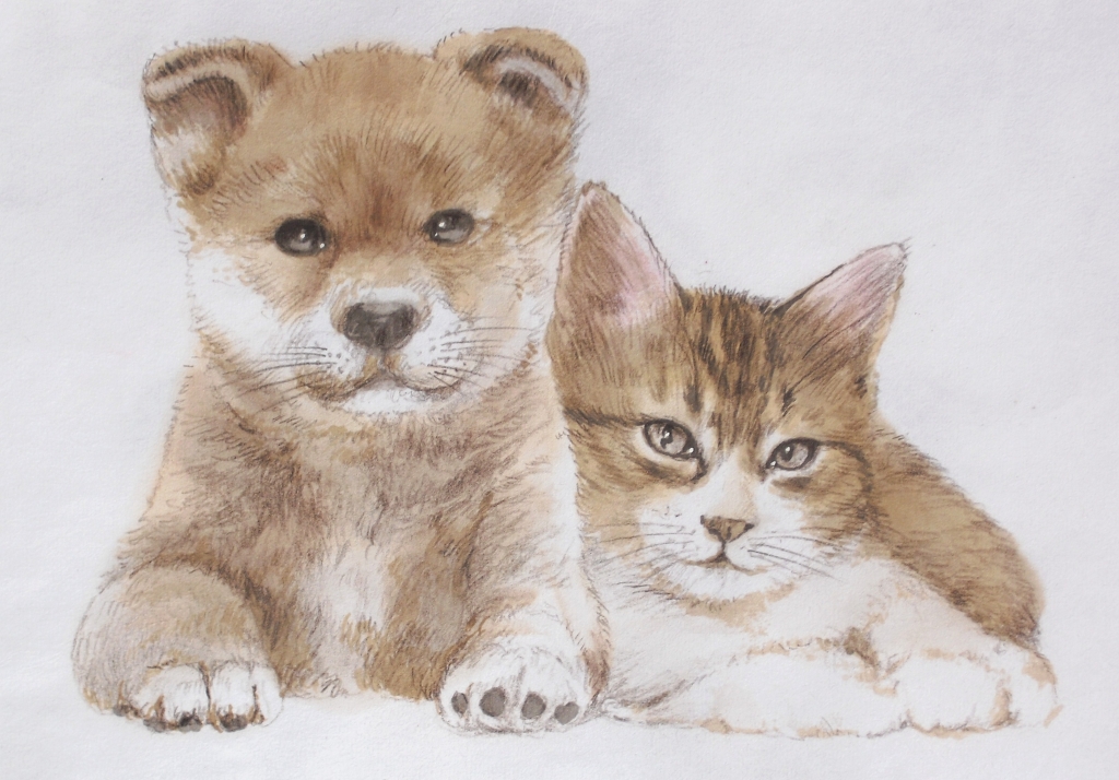 Cdジャケットの猫と犬のイラストです 藤重日生の 猫絵 と 猫絵手紙