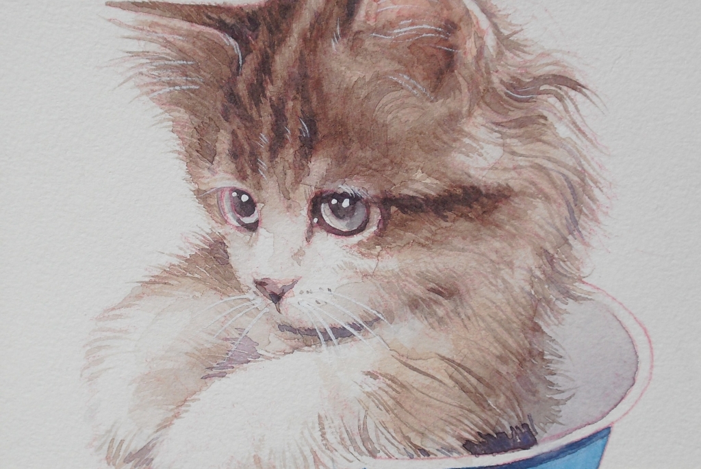 どの はがき絵 の猫絵を受け取ると嬉しいですか 藤重日生の 猫絵 と 猫絵手紙