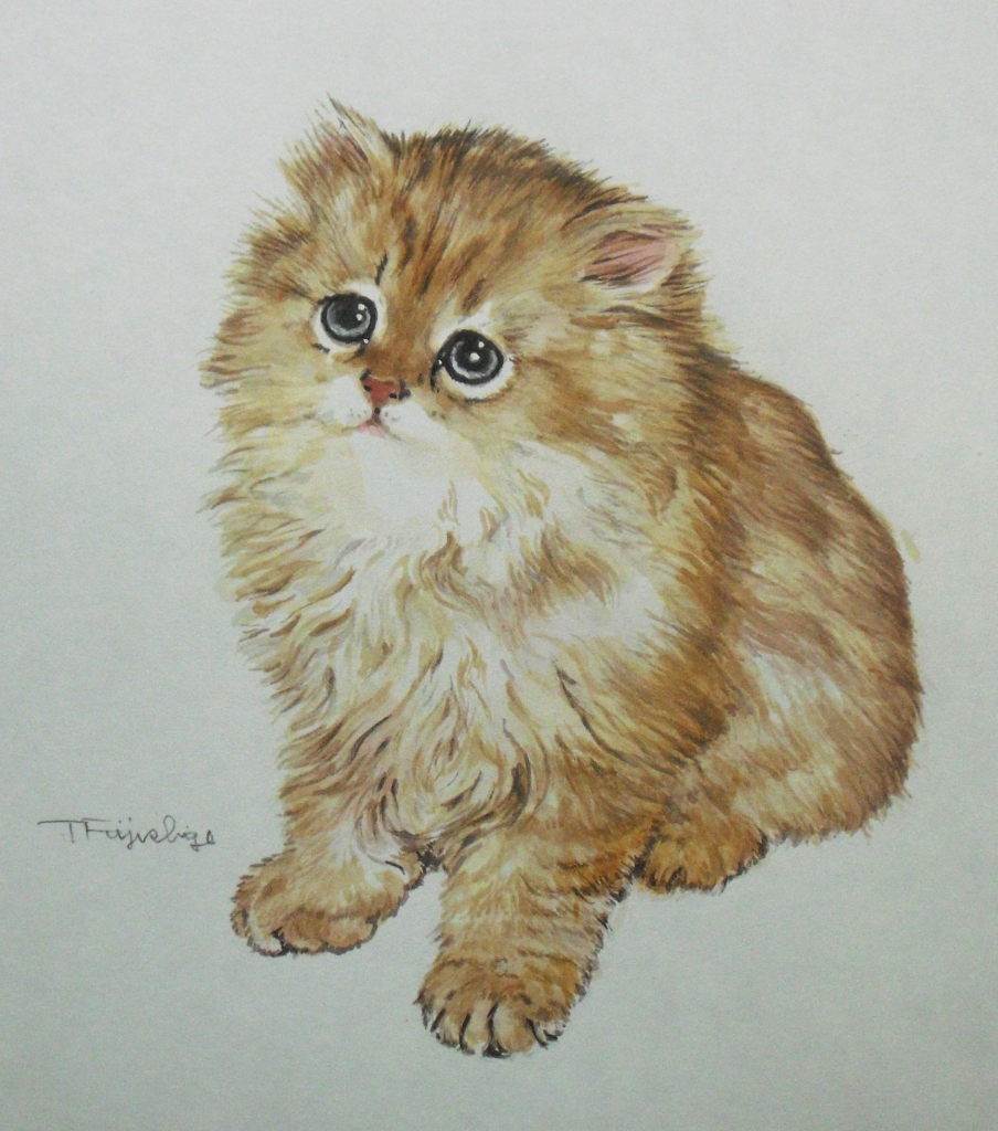 CIMG4403猫.jpg