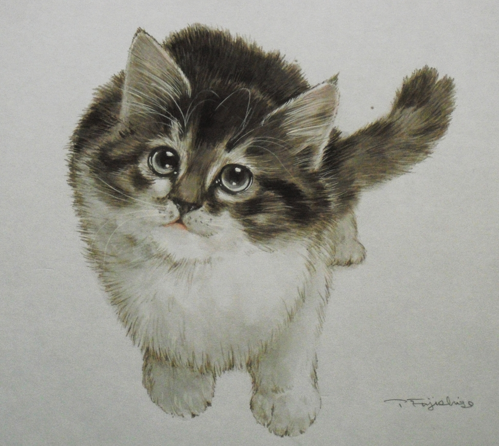 CIMG4404猫.jpg