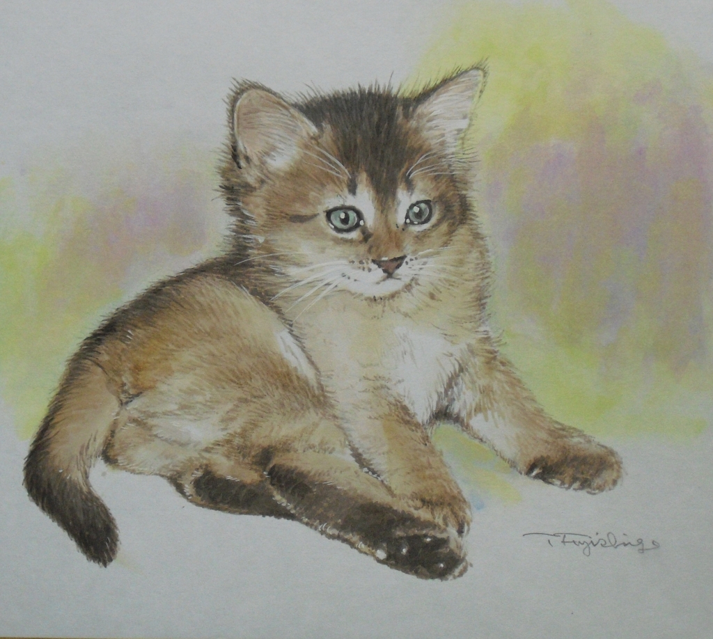 CIMG4408猫.jpg