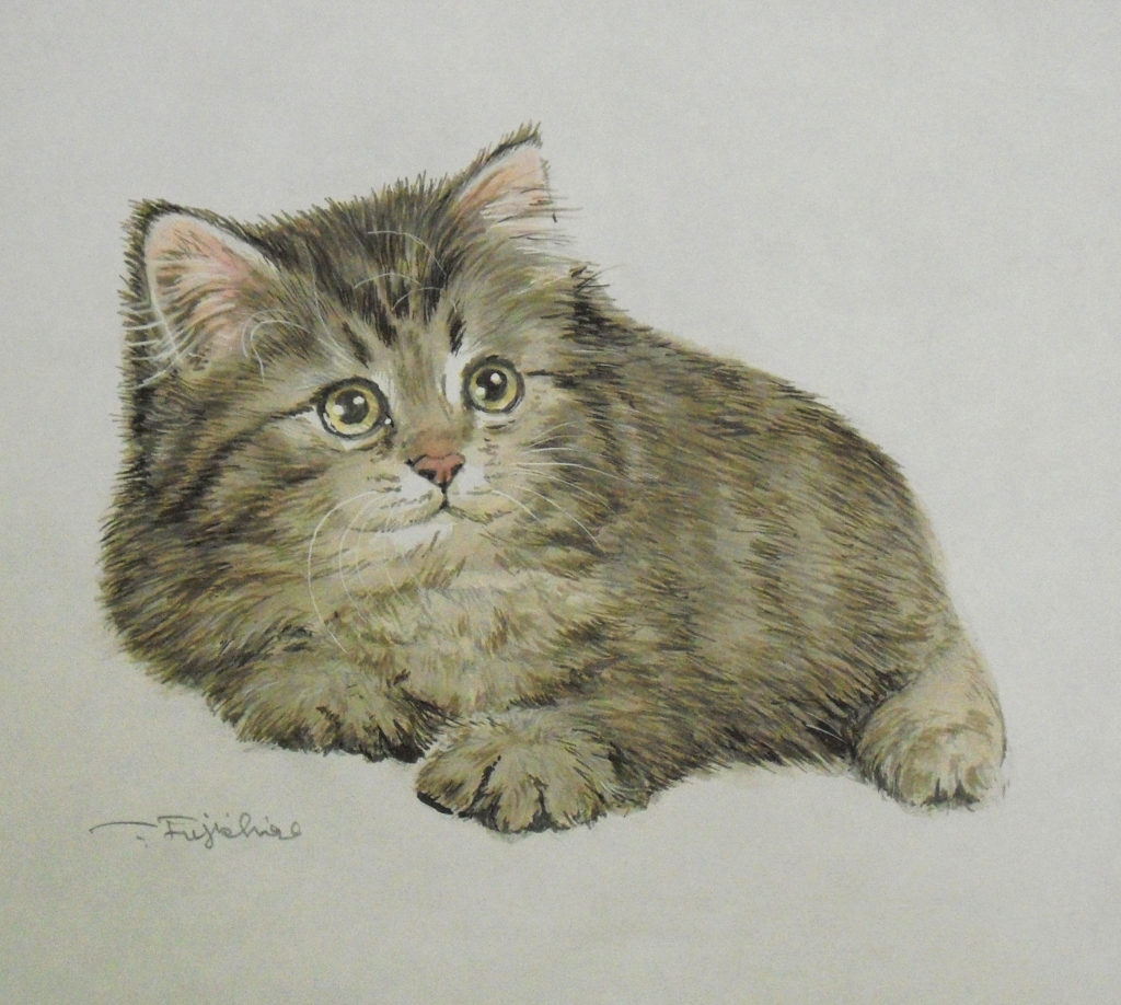 CIMG4410猫.jpg