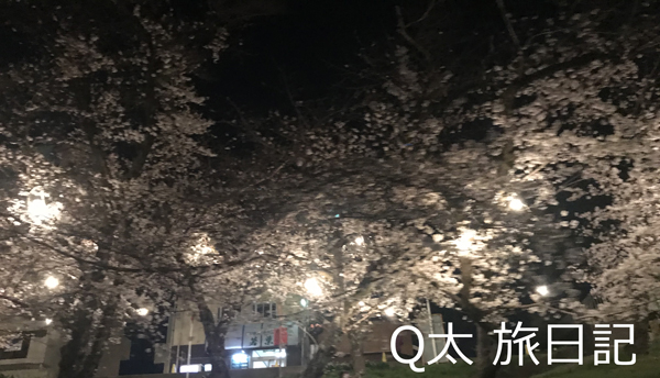 岡崎夜桜