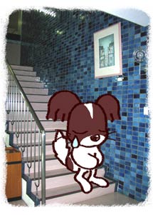 step.jpg