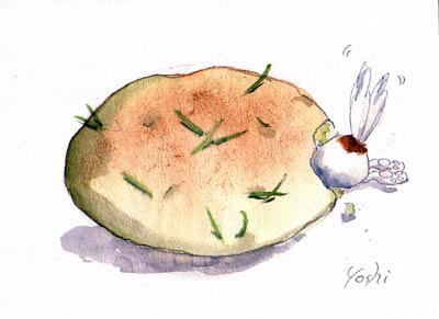 focca.jpg