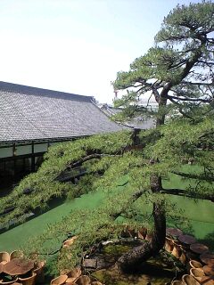 130604_1322~0001.jpg