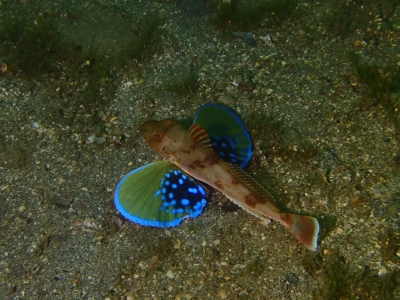 P5010011.JPG
