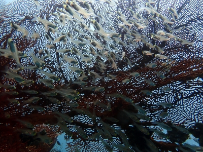 P2090275.JPG