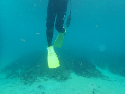 P2260027.JPG