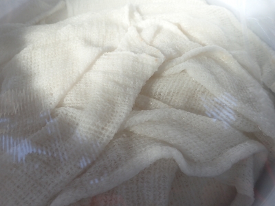P1100008.JPG