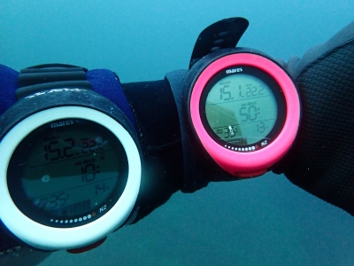 P2010053.JPG