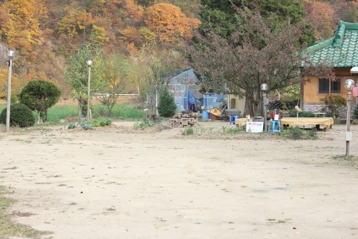 167.jpg