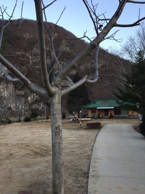 11-NaverBlog_20160122_204015_43.jpg