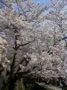 070406_1406~002.jpg