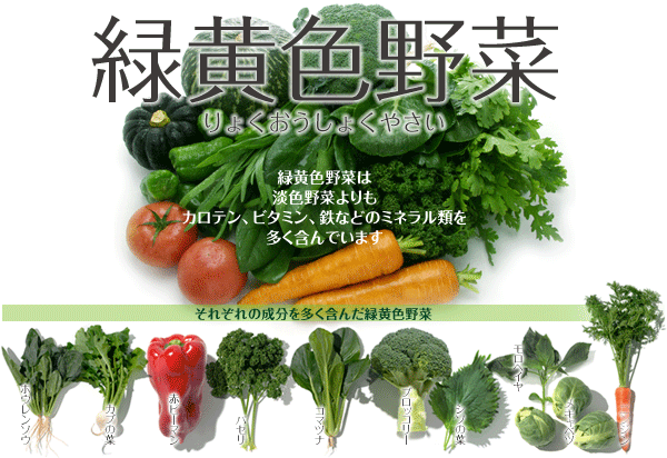 野菜93 緑黄色野菜 りょくおうしょくやさい やさい くだもの図鑑