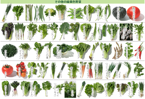 野菜93 緑黄色野菜 りょくおうしょくやさい やさい くだもの図鑑