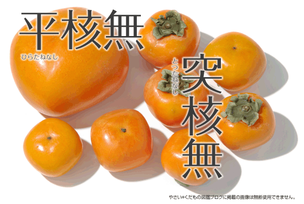 totsutane