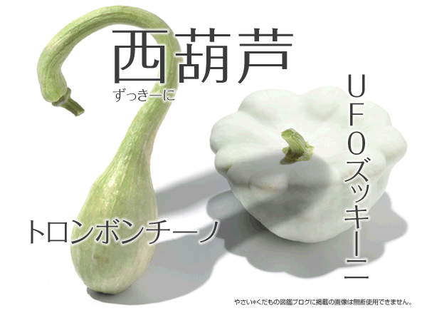 ズッキーニ2
