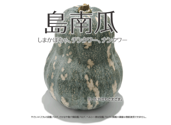 しまかぼちゃ