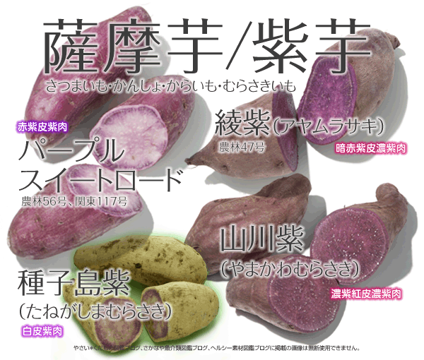 紫芋4点