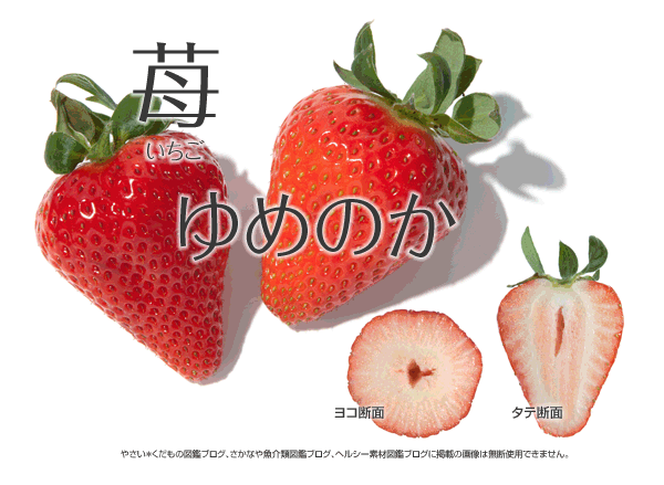 ゆめのか