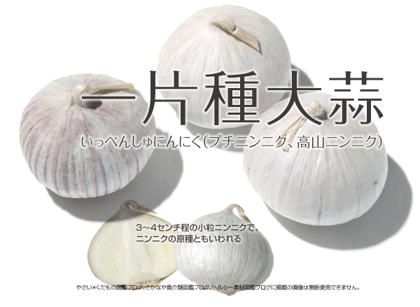 一片種大蒜