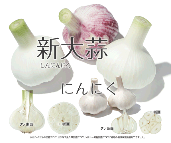 新大蒜と大蒜