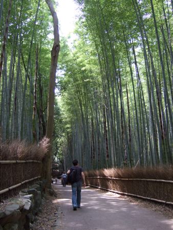 嵯峨野へ