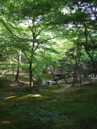 美しいお庭