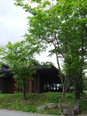 村民食堂