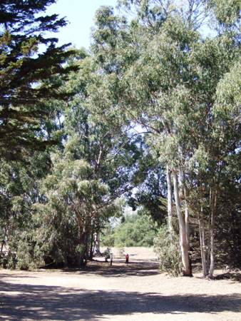 Douglas Family Preserve