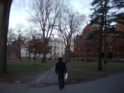 大学内