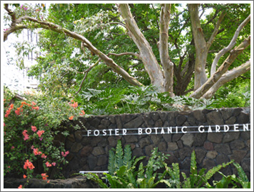 フォスター植物園