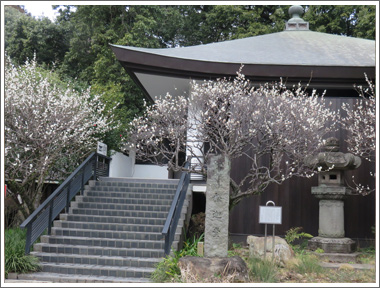 深大寺
